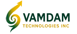 VAMDAM